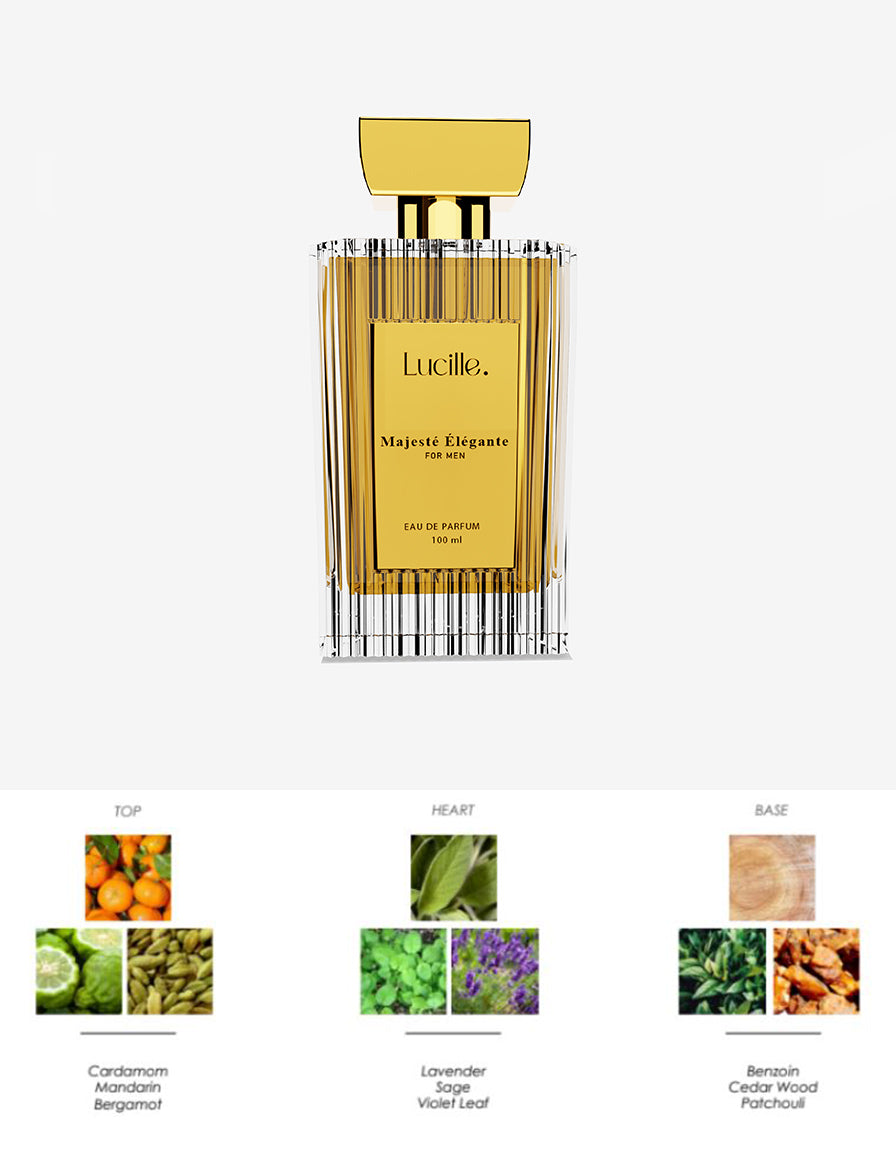 Majeste Elegante Özel Kutusunda 100 ML EDP Erkek Parfümü